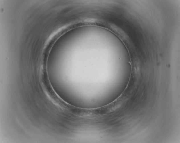 X0000081380728200701252038