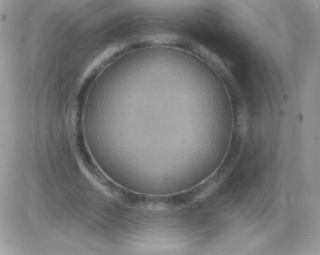 X0000081380730200701252038