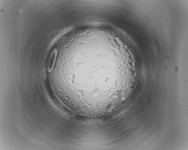 X0000081380734200701252038