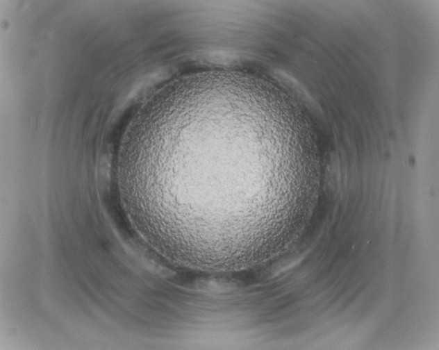 X0000081380739200701252038
