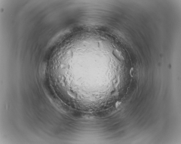 X0000081380742200701252039