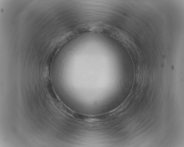 X0000081380748200701252039