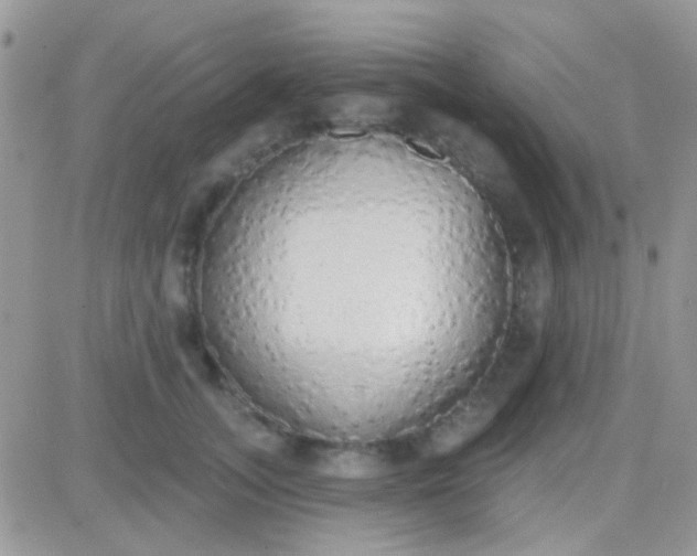 X0000081380755200701252039