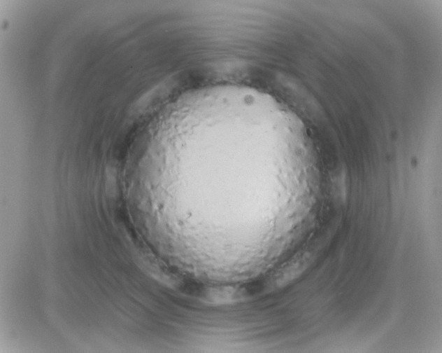 X0000081380757200701252039