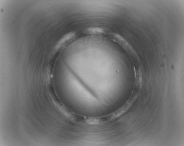 X0000081380762200701252039