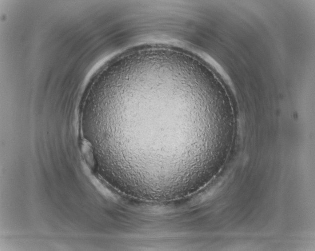 X0000081380791200701252038