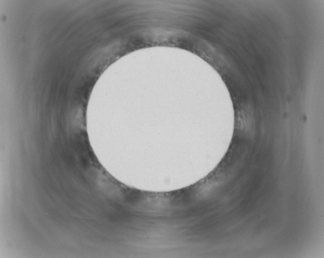 X0000081380820200701252037