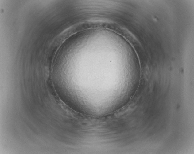 X0000081380821200701252037