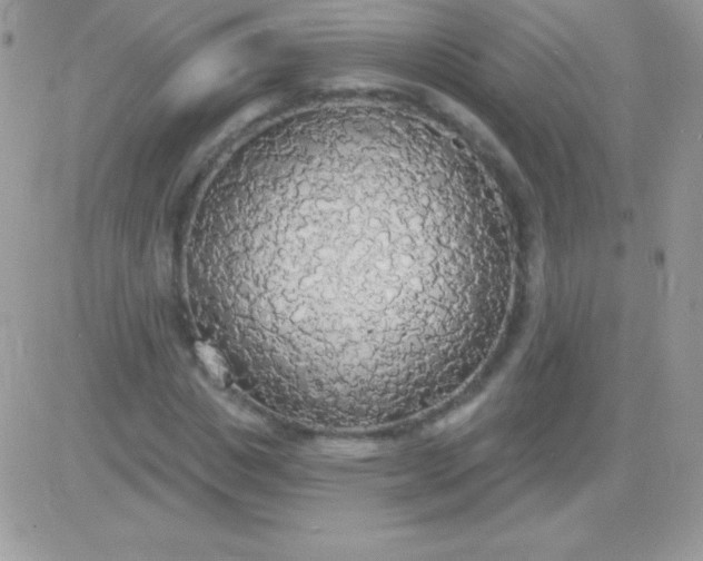 X0000081380825200701252037