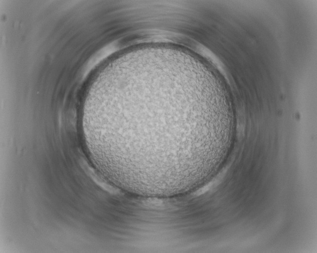 X0000081380827200701252037
