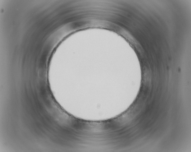 X0000081380836200701252037