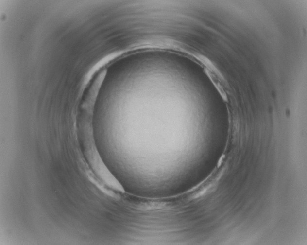 X0000081380846200701252037