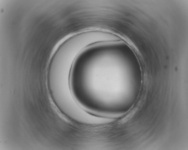 X0000081380854200701252037