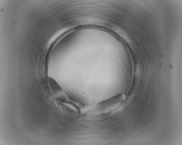 X0000081380877200701252036