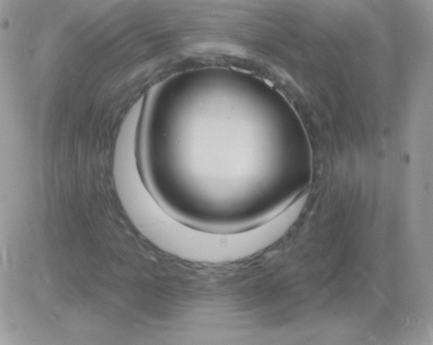 X0000081380965200701252035