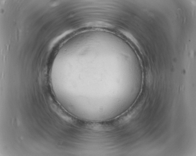 X0000081380971200701252035