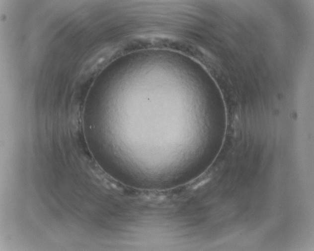 X0000081381014200701252034