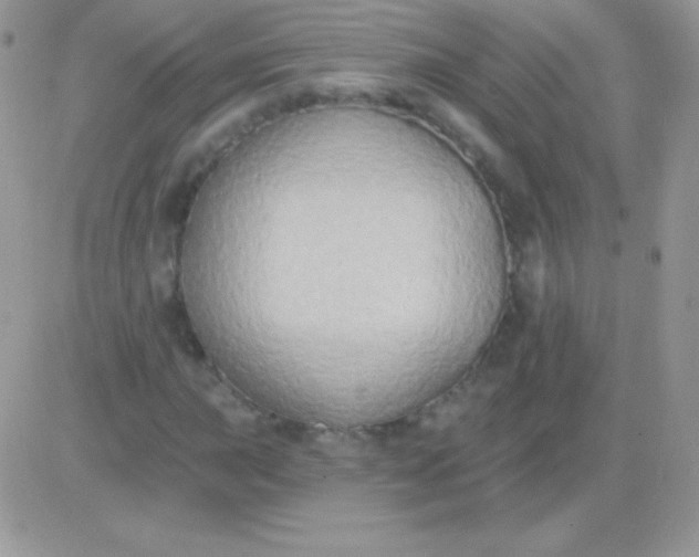 X0000081381015200701252034