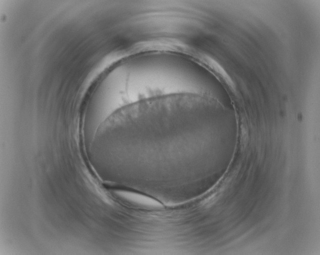 X0000081381035200701252034