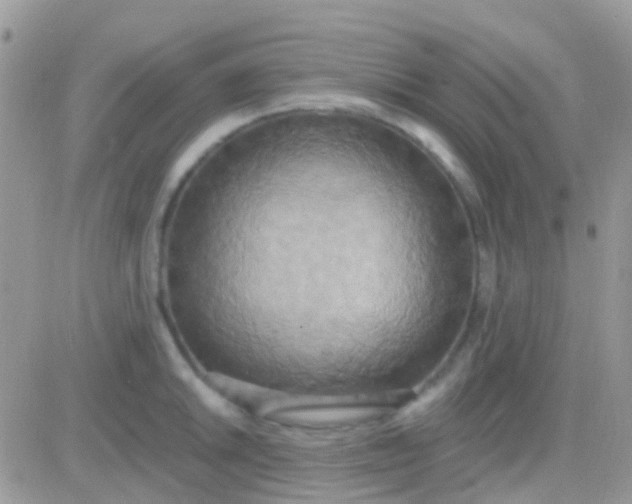 X0000081381046200701252034