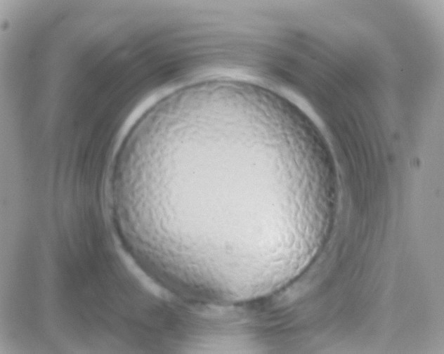 X0000081381056200701252034