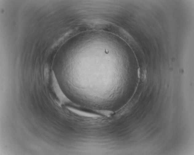X0000081381108200701252032