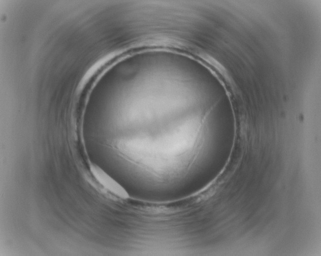 X0000081381120200701252032