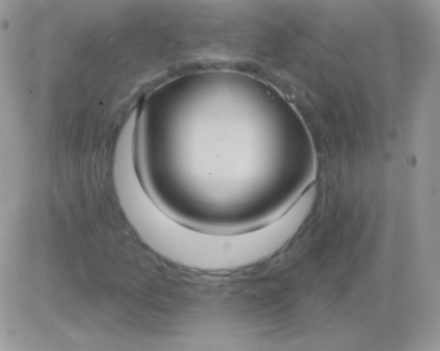 X0000081381157200701252032