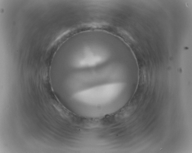 X0000081381158200701252032