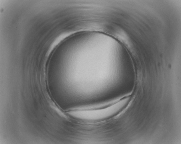 X0000081381184200701252031