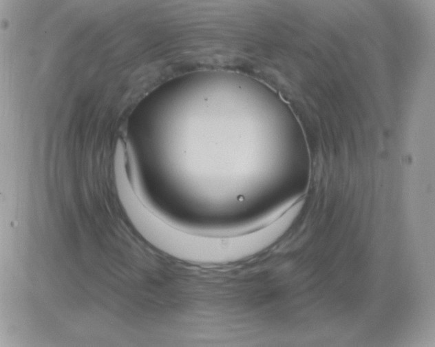 X0000081381202200701252030