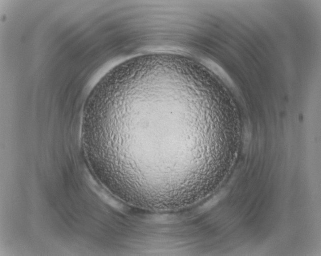 X0000081381228200701252031