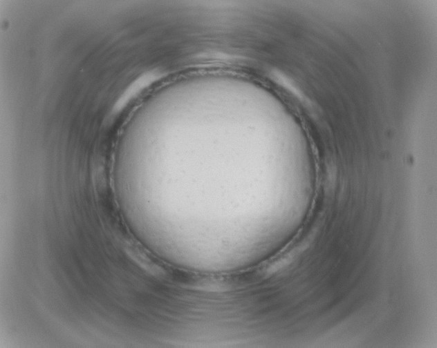 X0000081381259200701252030