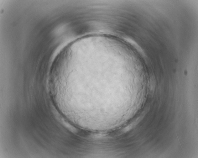 X0000081381278200701252030