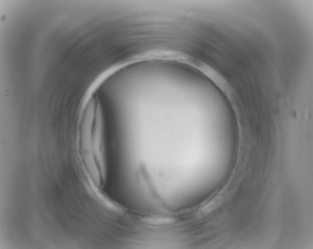 X0000081381296200701252030