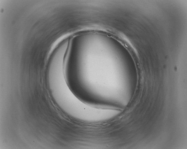 X0000081381320200701252029