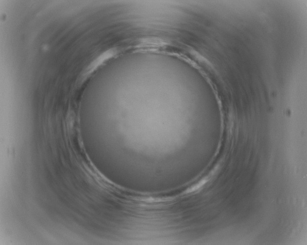X0000081381401200701252027