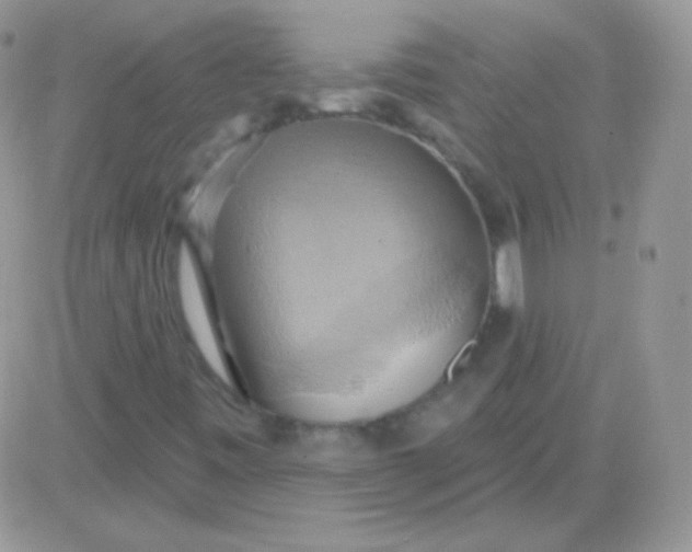 X0000081381443200701252027