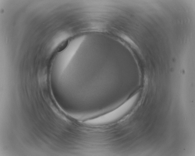 X0000081381450200701252027