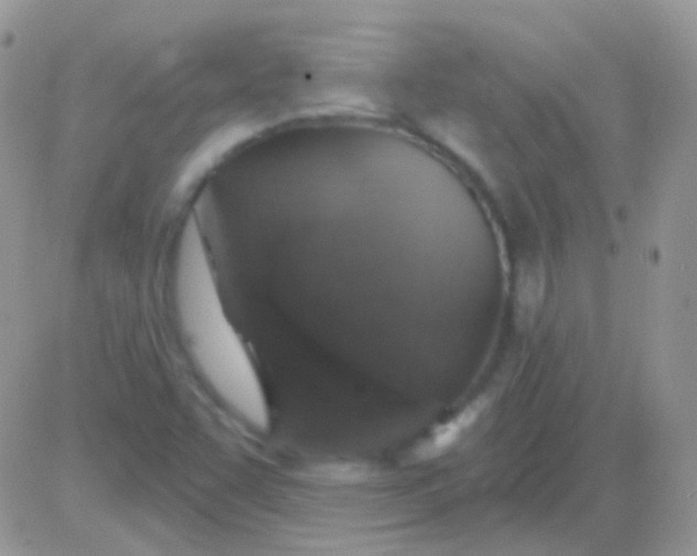 X0000081381455200701252027