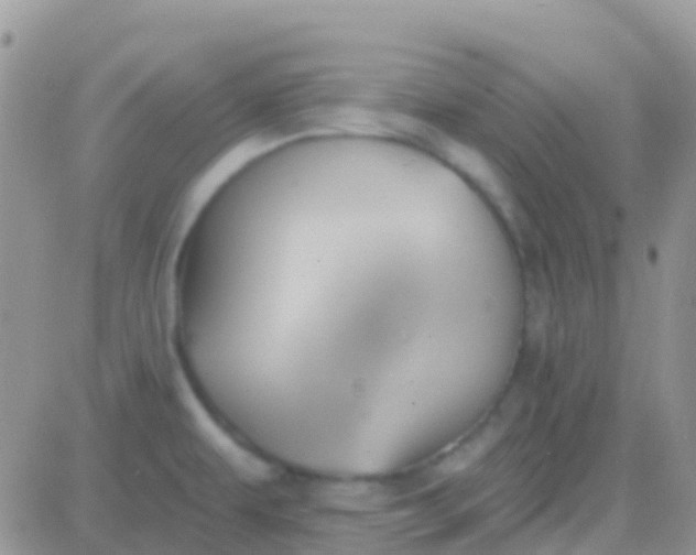 X0000081381479200701252027