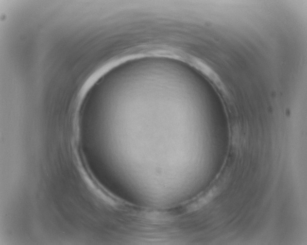 X0000081381520200701252026