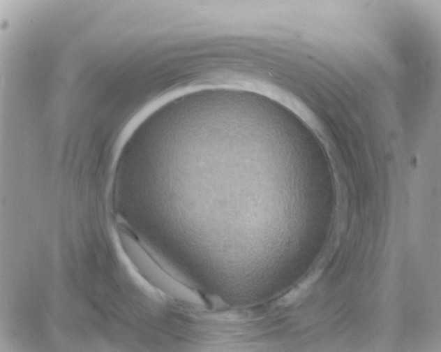 X0000081381536200701252026