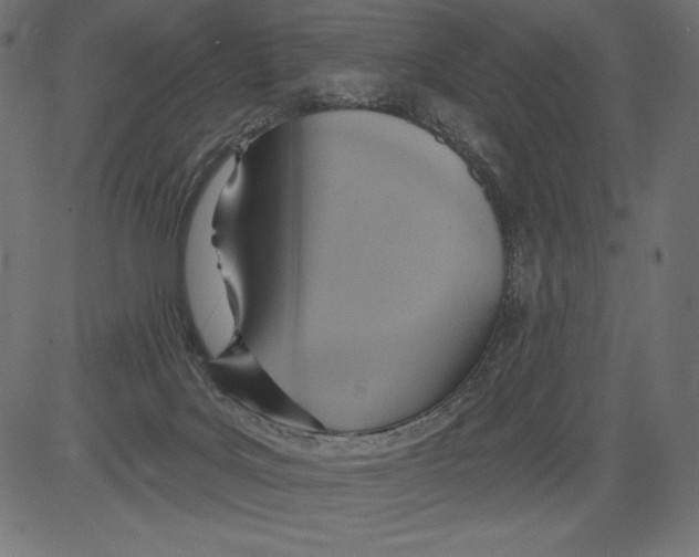 X0000081380027200702020241