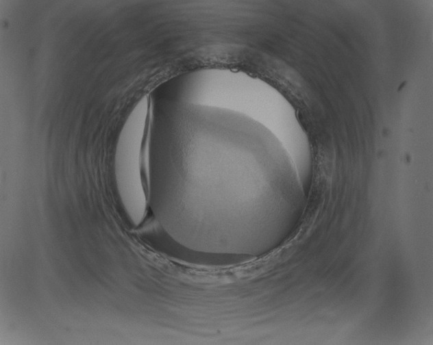 X0000081380029200702020241