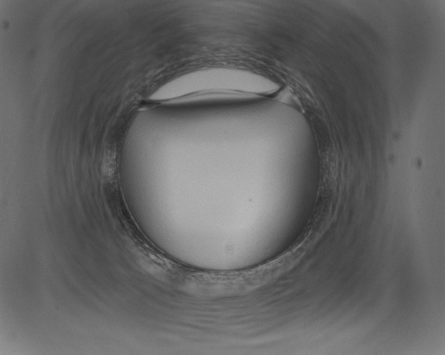 X0000081380033200702020241
