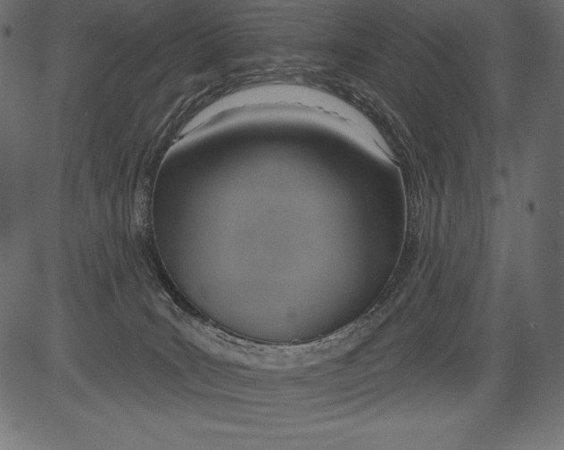X0000081380035200702020241