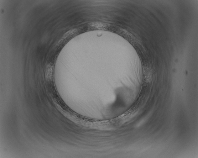 X0000081380036200702020241
