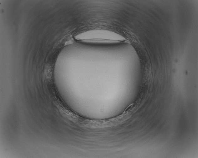 X0000081380037200702020241