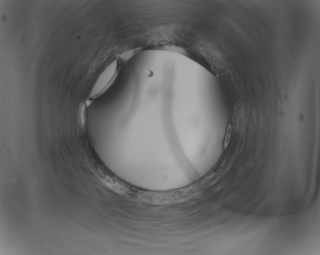 X0000081380041200702020241